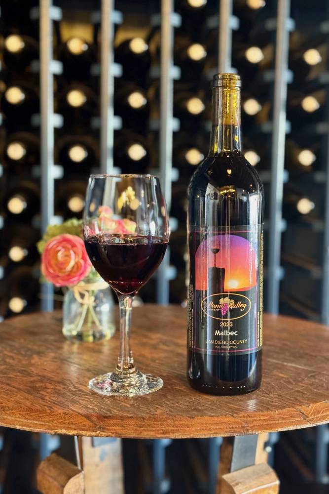 2023 Malbec Local Ramona Wine